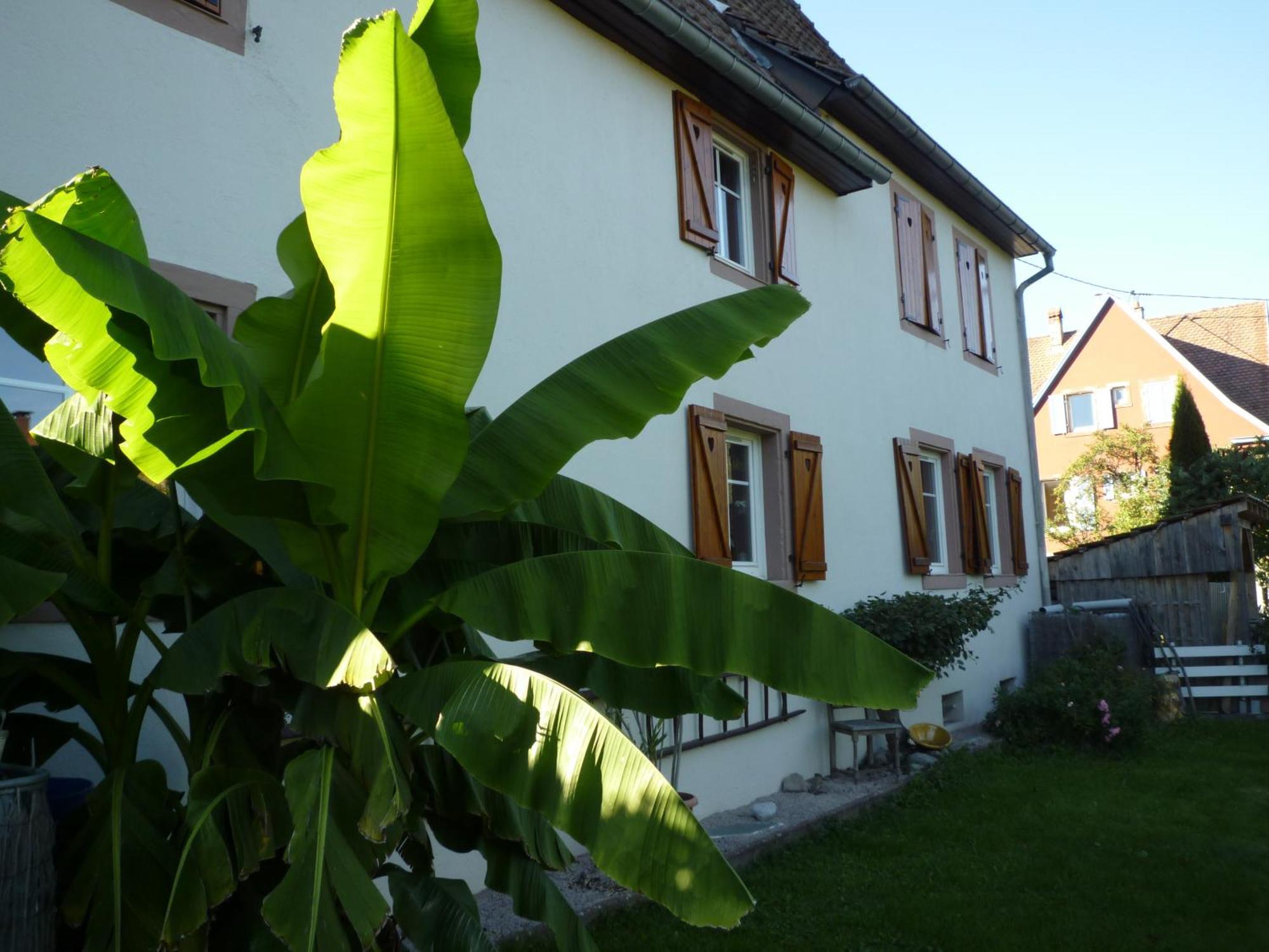 Gite La Charmaie Husseren-Wesserling ภายนอก รูปภาพ
