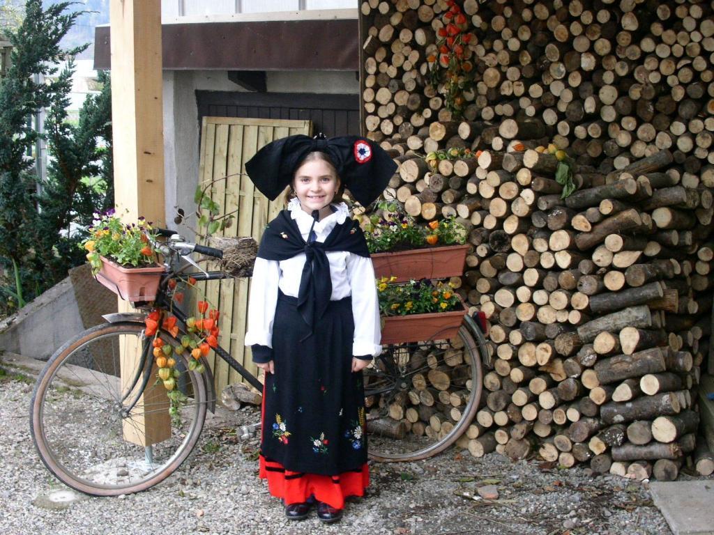 Gite La Charmaie Husseren-Wesserling ภายนอก รูปภาพ