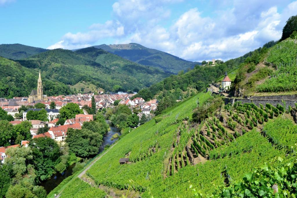 Gite La Charmaie Husseren-Wesserling ภายนอก รูปภาพ